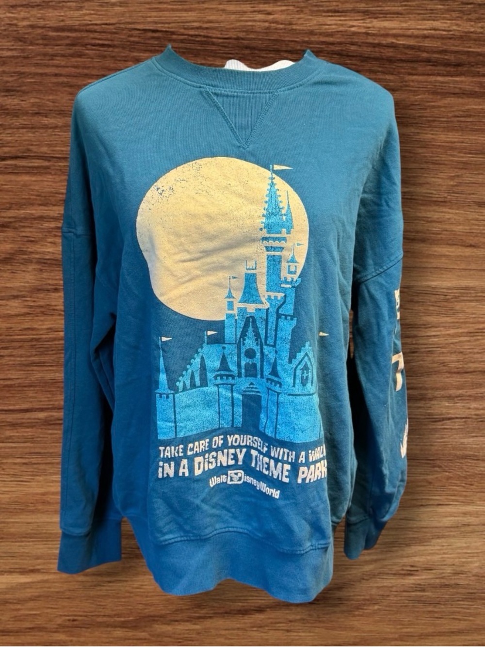 EUC Walt Disney World Castle Take Care Walk In A Park Sweatshirt SZ L